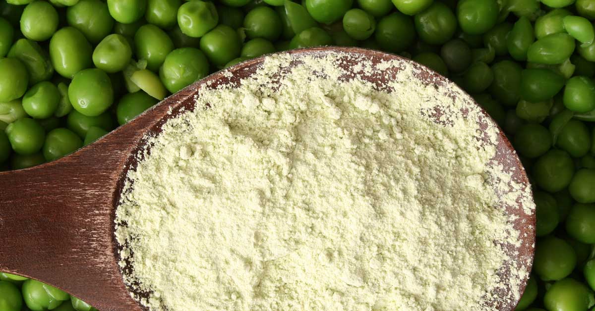 Pea Protein Powder: Nutrition, Benefits and Side Effects
