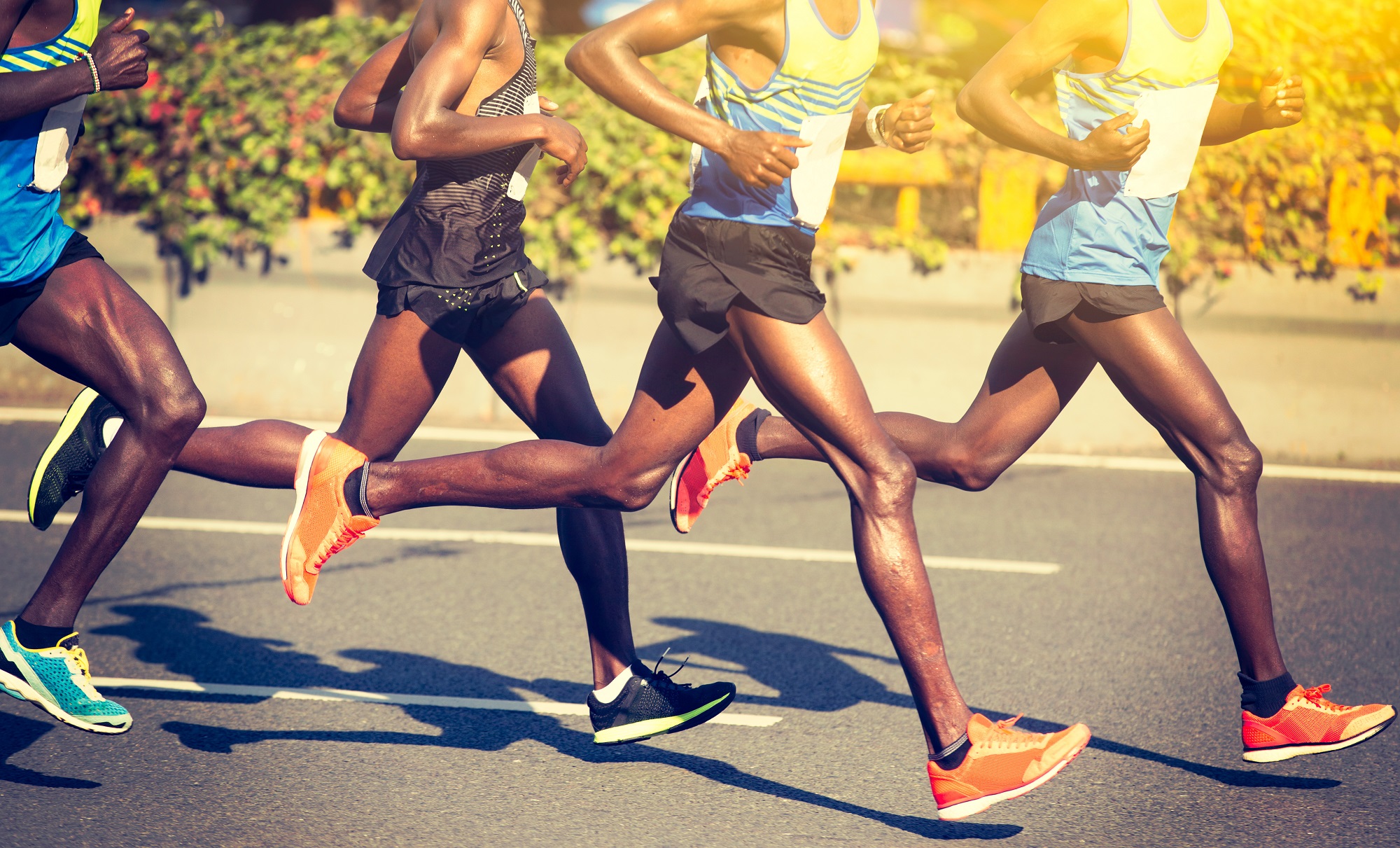 Factors Underlying High Pain Tolerance in Ultra-Marathon ...